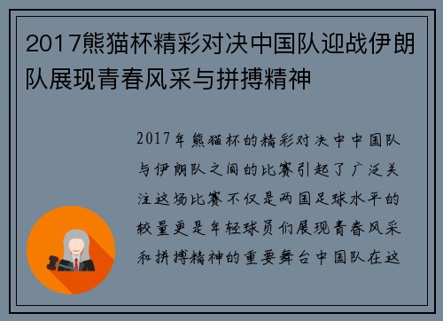 2017熊猫杯精彩对决中国队迎战伊朗队展现青春风采与拼搏精神